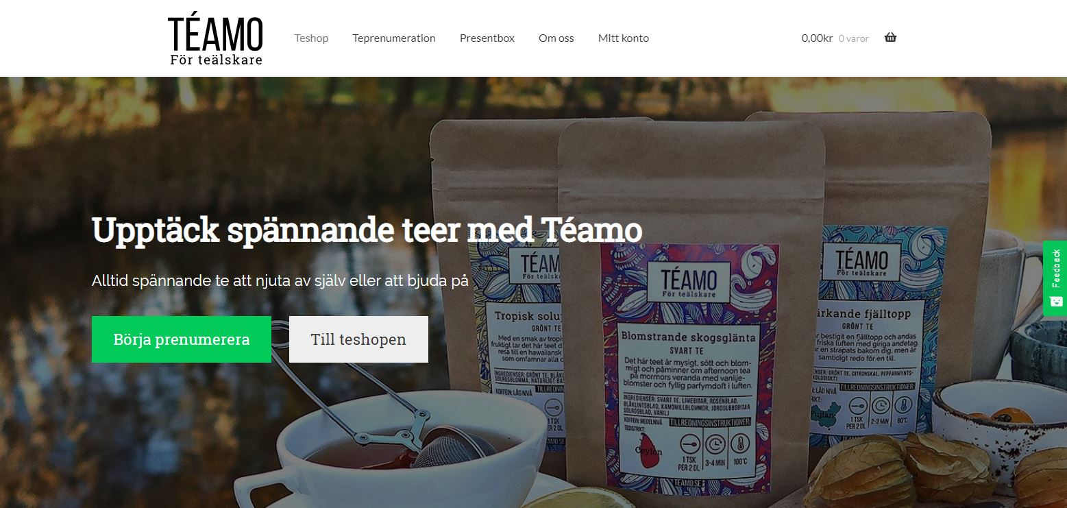 Téamo's website